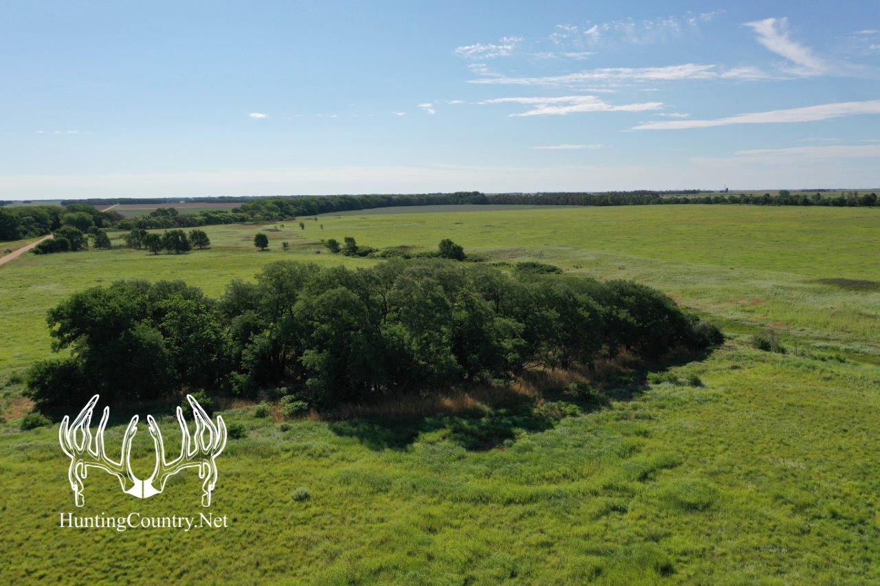 KS-634 Pratt County, Kansas 235 Acres M/L